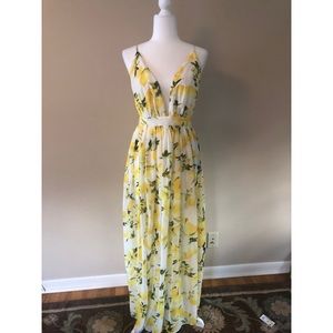 Fashion Nova Maxi Dress